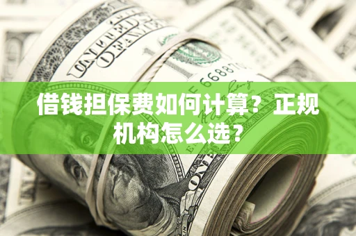 济南借钱担保费如何计算？正规机构怎么选？