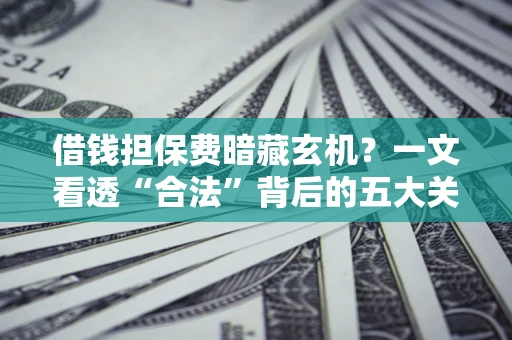 济南借钱担保费暗藏玄机？一文看透“合法”背后的五大关键陷阱