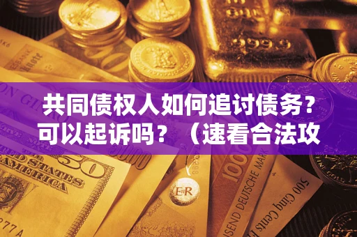 济南共同债权人如何追讨债务？可以起诉吗？（速看合法攻略）